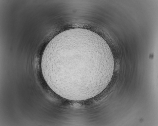 X0000116340598201001131047