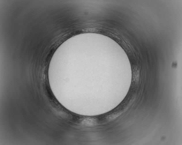 X0000116340599201001131047