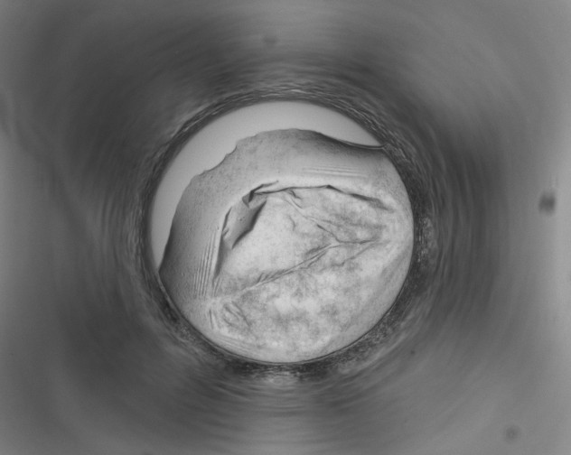 X0000116340600201001131047