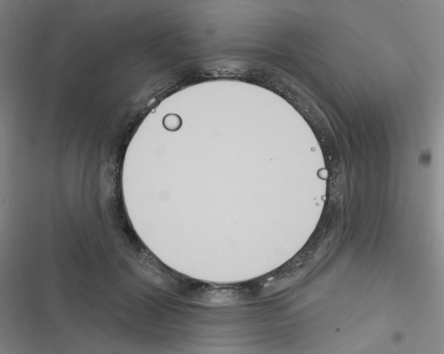 X0000116340604201001131047