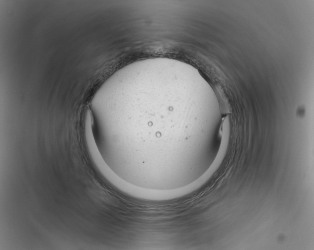 X0000116340605201001131047