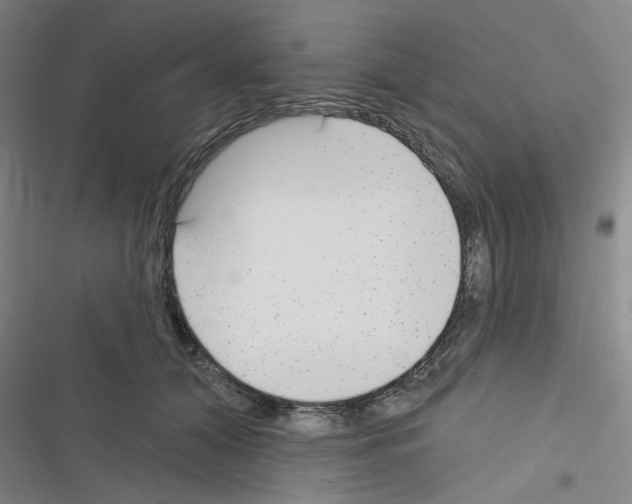 X0000116340608201001131047