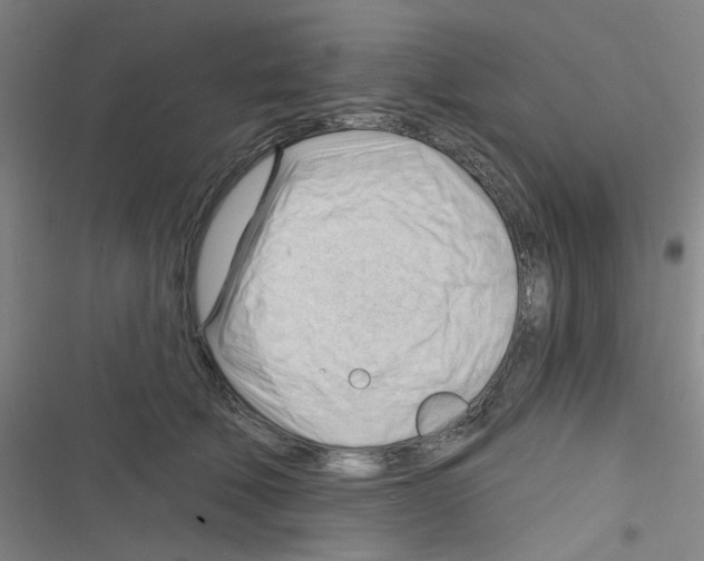 X0000116340610201001131047