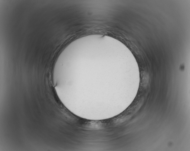 X0000116340612201001131047