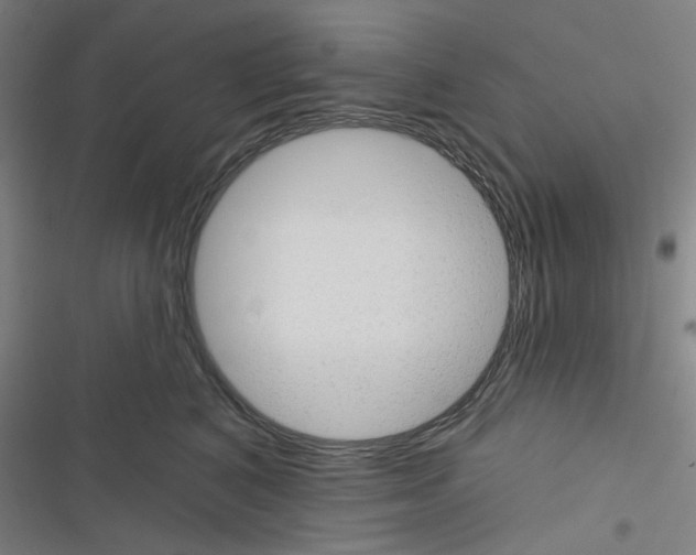 X0000116340616201001131046