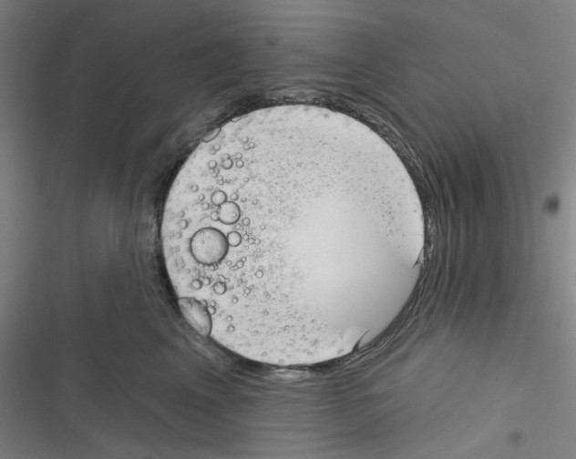 X0000116340617201001131046