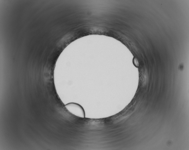 X0000116340619201001131046