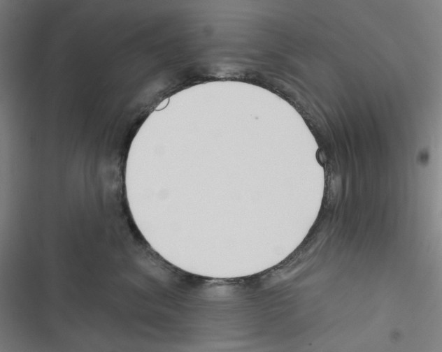 X0000116340620201001131046