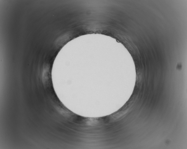 X0000116340623201001131046