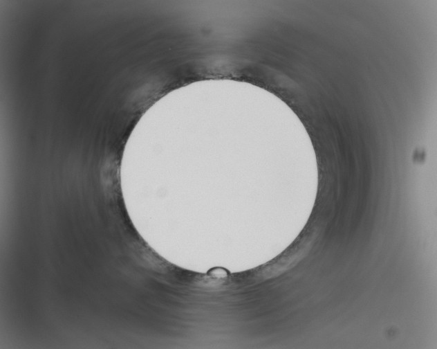 X0000116340624201001131046