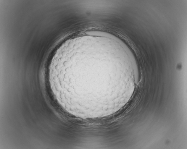 X0000116340626201001131046