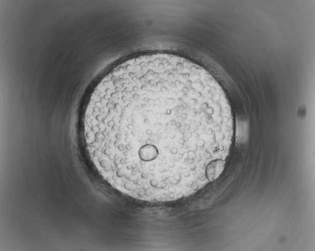 X0000116340627201001131046