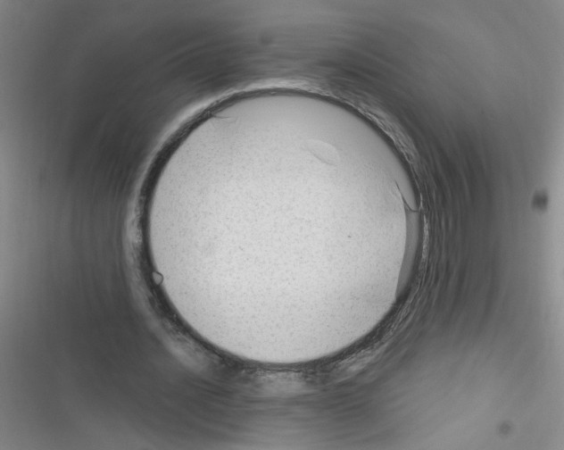 X0000116340628201001131046