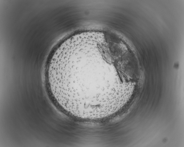 X0000116340629201001131046