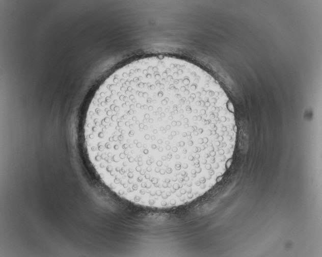 X0000116340631201001131046