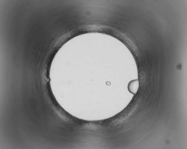 X0000116340633201001131046