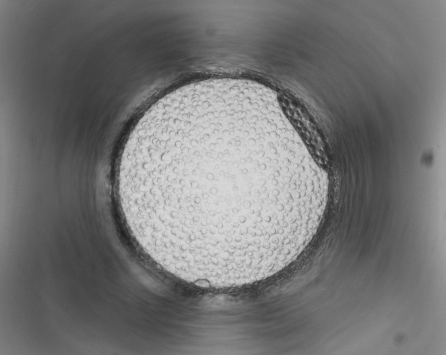 X0000116340634201001131046