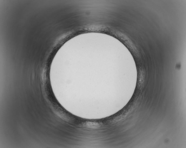 X0000116340636201001131046