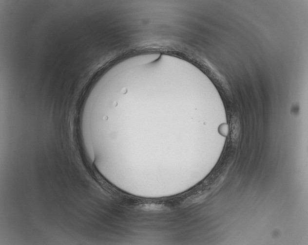 X0000116340637201001131046