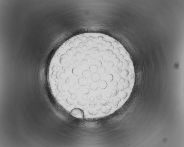 X0000116340638201001131046