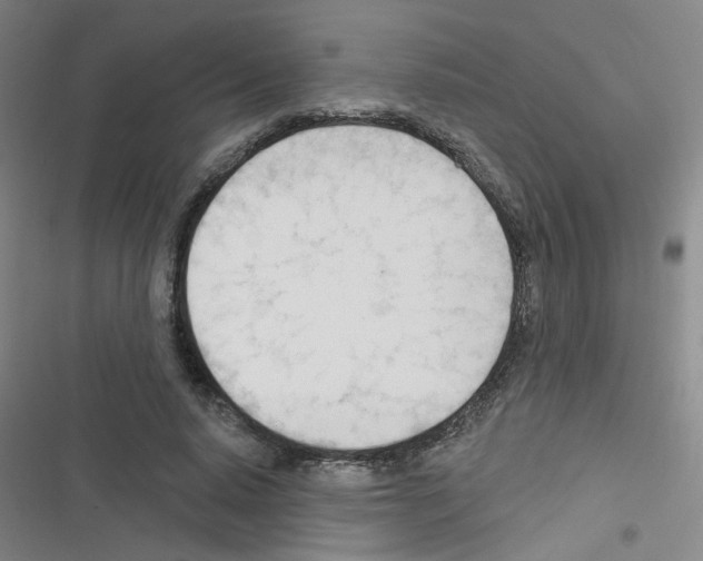 X0000116340640201001131046