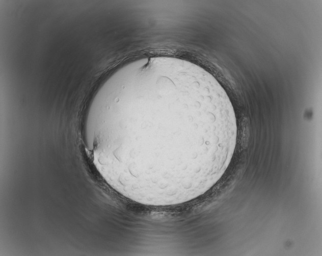 X0000116340641201001131046