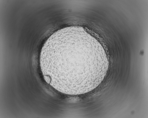 X0000116340642201001131046