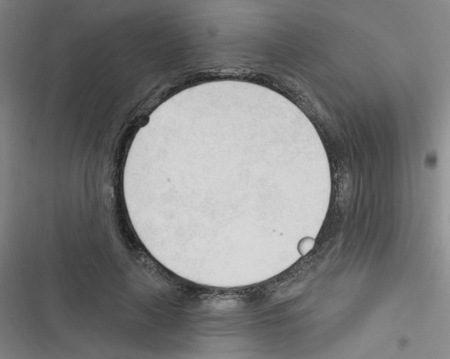 X0000116340643201001131046