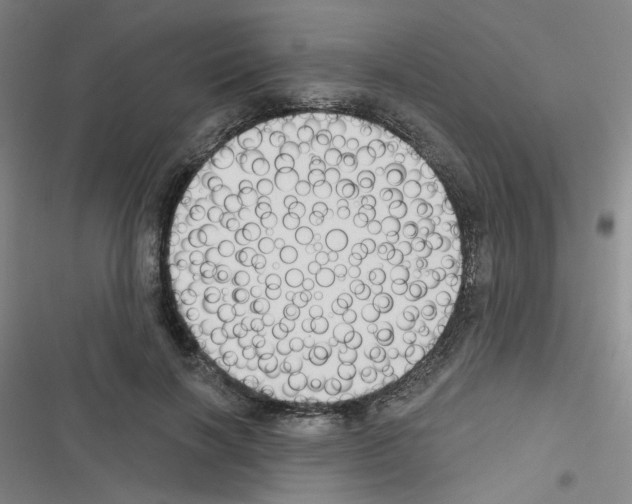 X0000116340646201001131046