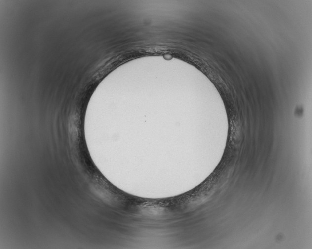 X0000116340648201001131046