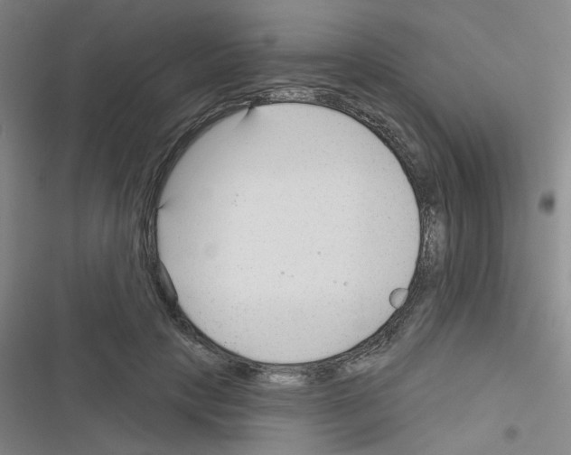 X0000116340649201001131046