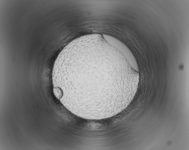 X0000116340650201001131046