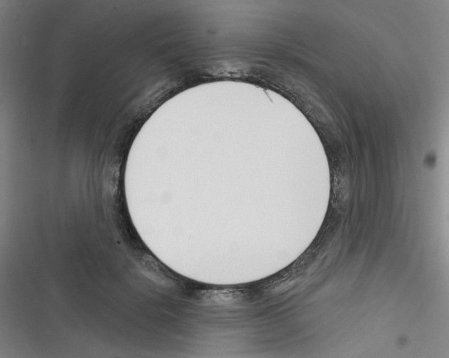 X0000116340652201001131046