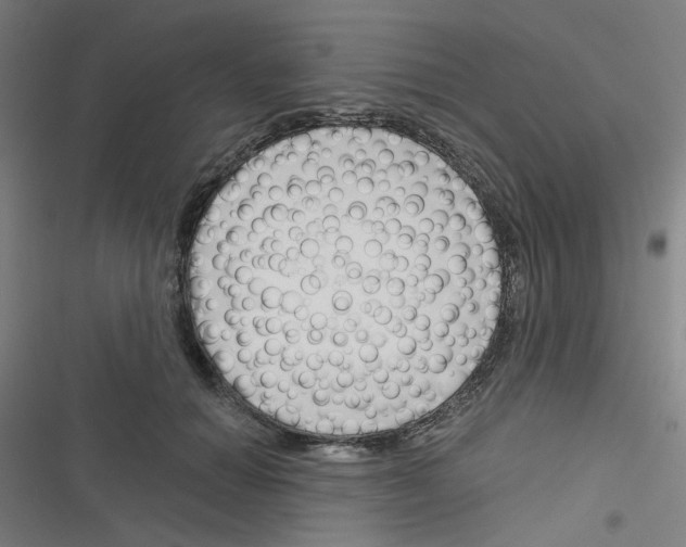 X0000116340654201001131046