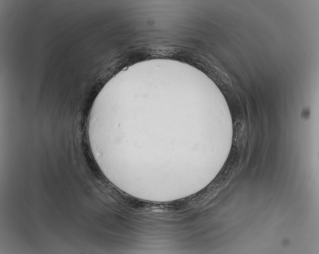 X0000116340655201001131046