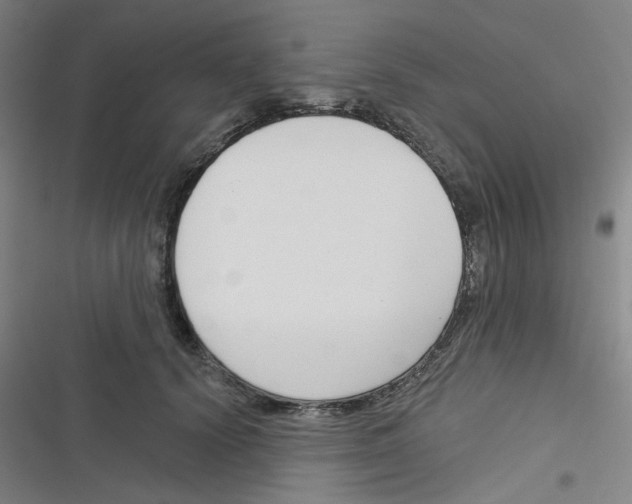 X0000116340656201001131046