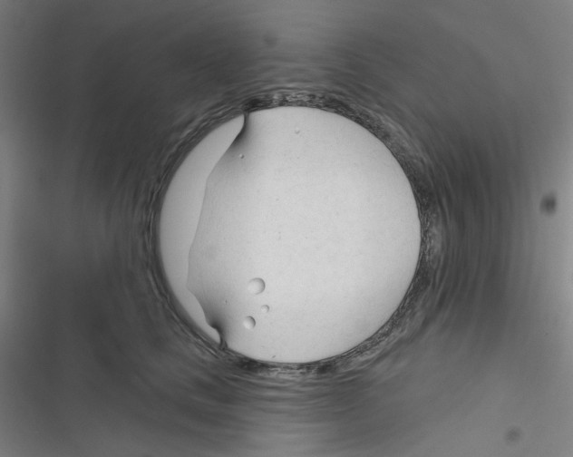 X0000116340661201001131046