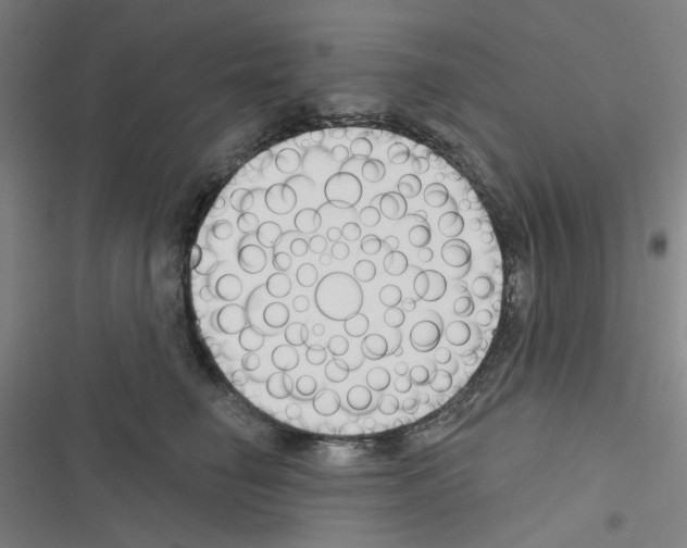 X0000116340662201001131046