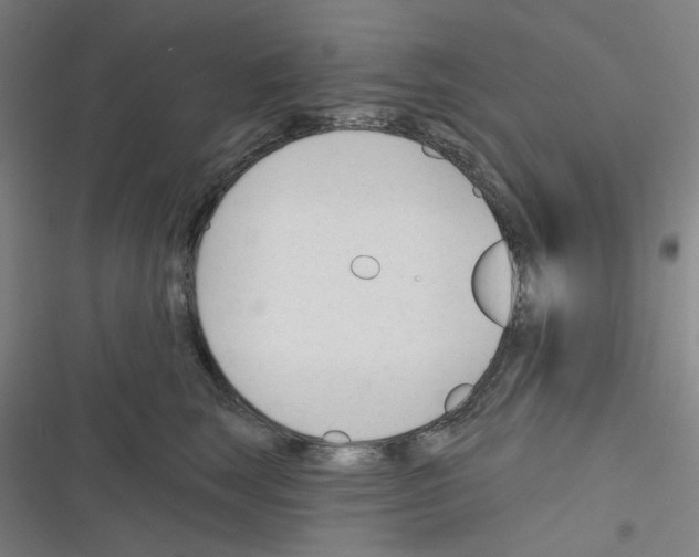 X0000116340663201001131046