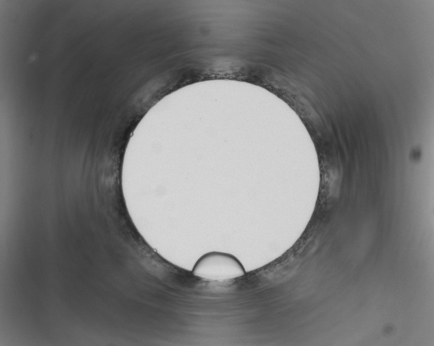 X0000116340665201001131046