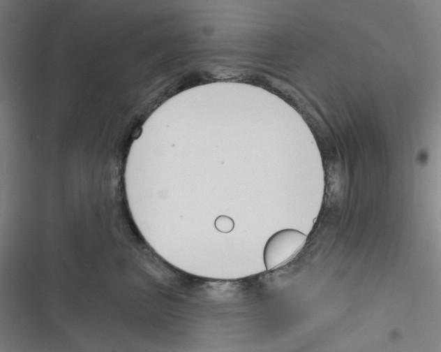 X0000116340667201001131046