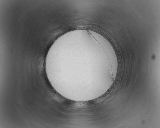 X0000116340668201001131046