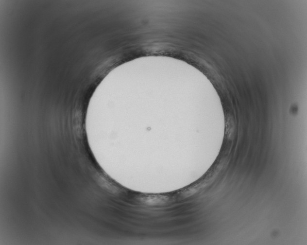 X0000116340670201001131046