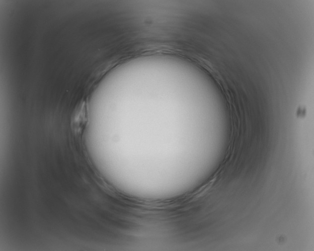 X0000116340672201001131046