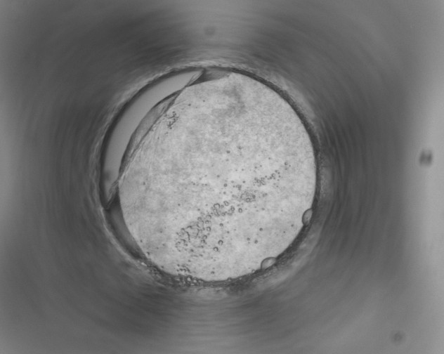 X0000116340673201001131046