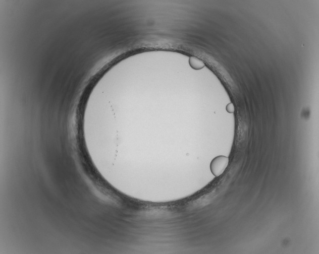 X0000116340674201001131046