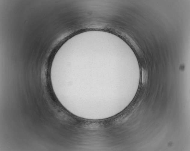 X0000116340675201001131046