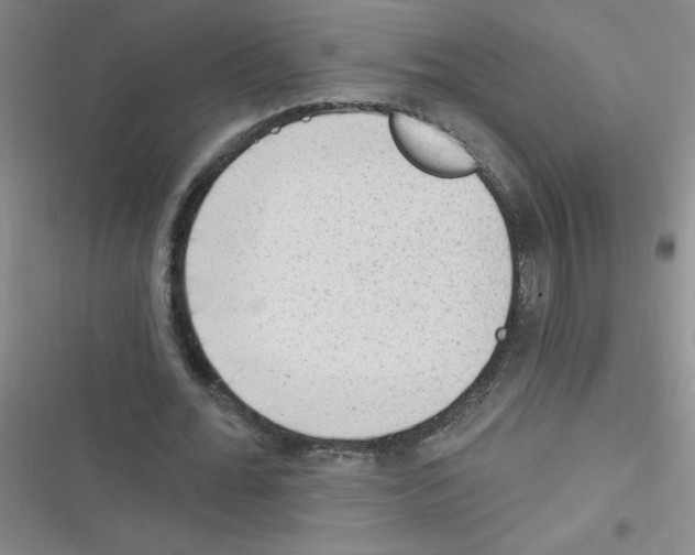 X0000116340676201001131046