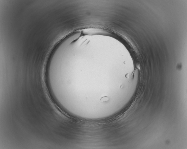 X0000116340677201001131046