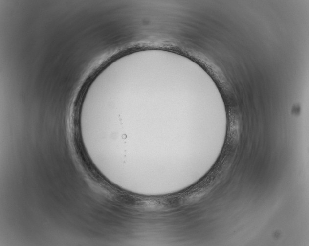 X0000116340678201001131046